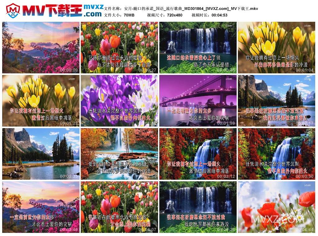 安月-随口的承诺_国语_流行歌曲_MD301864